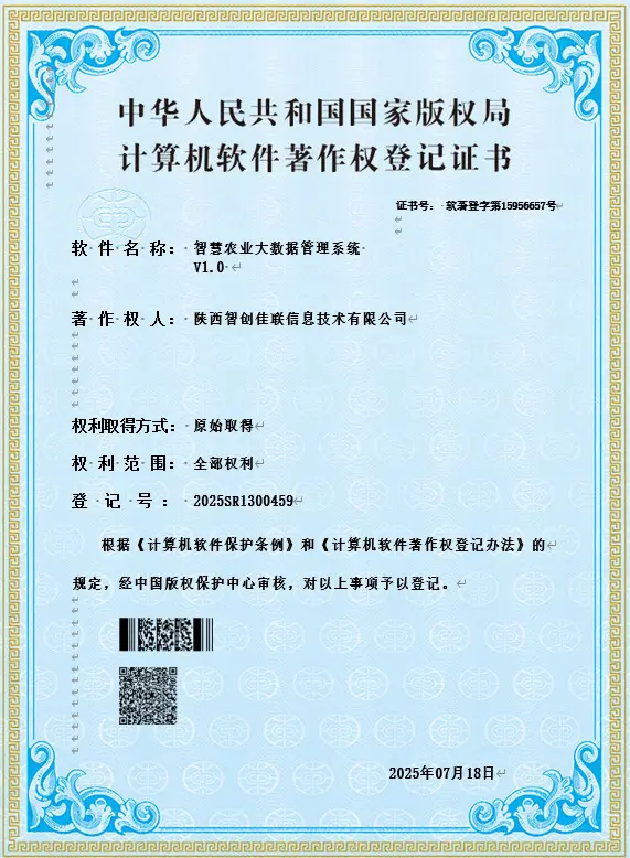 软件著作权